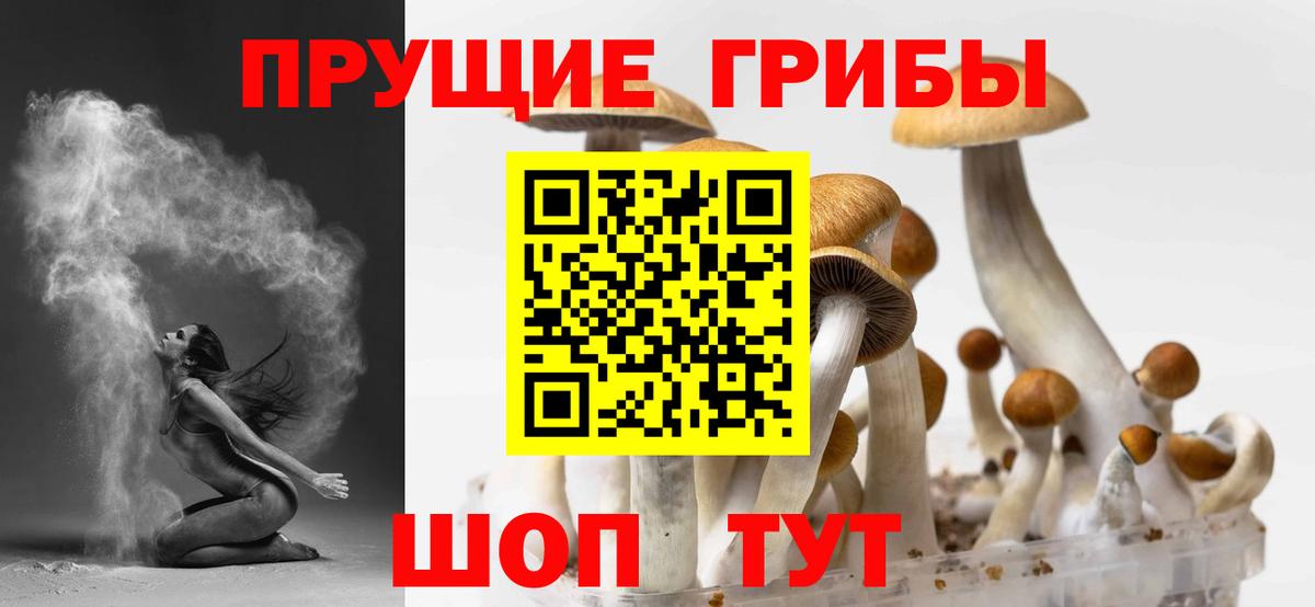 Псилоцибиновые грибы GOLDEN TEACHER  Вход с VPN  Белая Калитва 